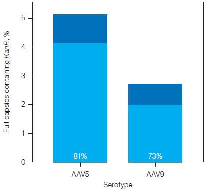 Percentage of filled capsids in the plasmid backbone assays containing KanR, with and without ITR-2.