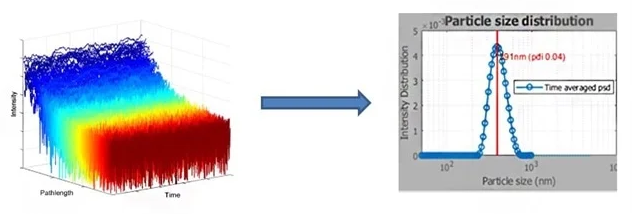 Measured depth resolved intensity fluctuations and the patented analysis methods of the NanoFlowSizer provide the particle size characteristics for turbid and flowing suspensions.