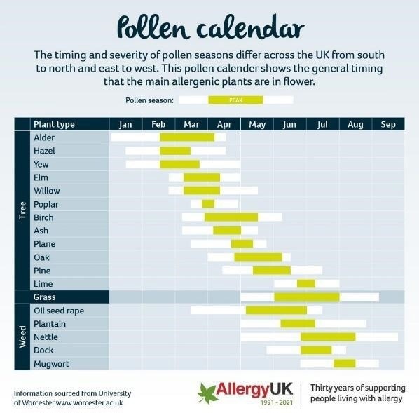 Managing asthma in children