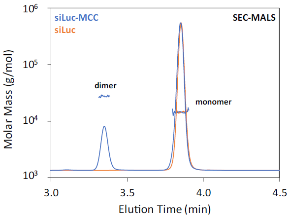 Figure 2. SEC-MALS of siLuc and siLuc-MCC. UV 260 nm chromatogram is shown with the molar mass overlaid.