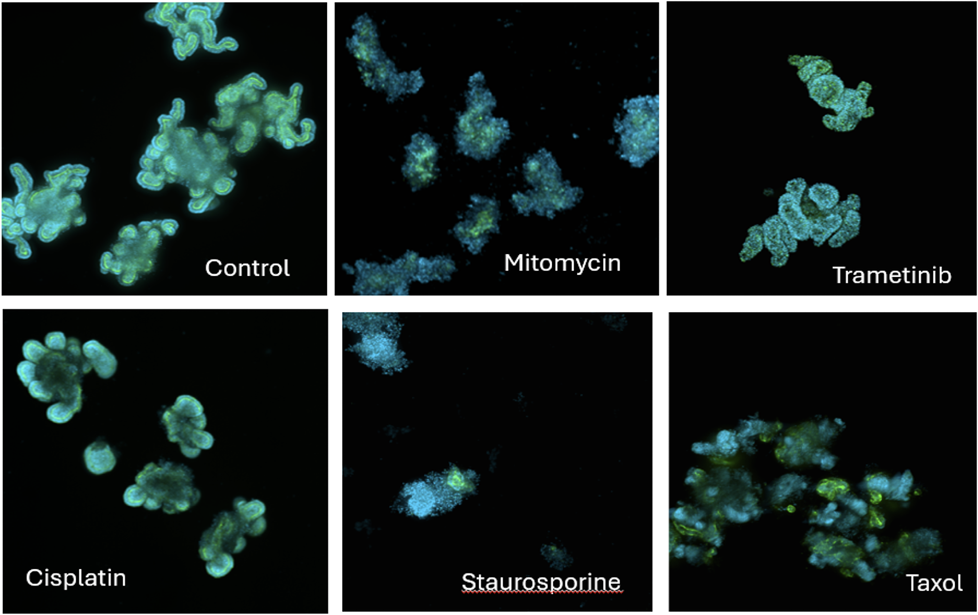 Image Credit: Molecular Devices