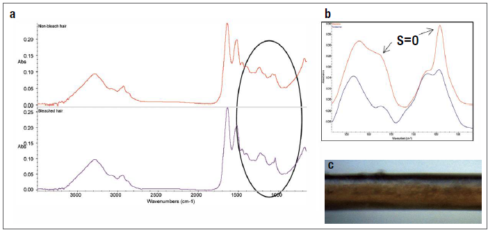 (a) Spectra of non-bleached (red) and bleached (purple) hair. (b) Expanded region showing