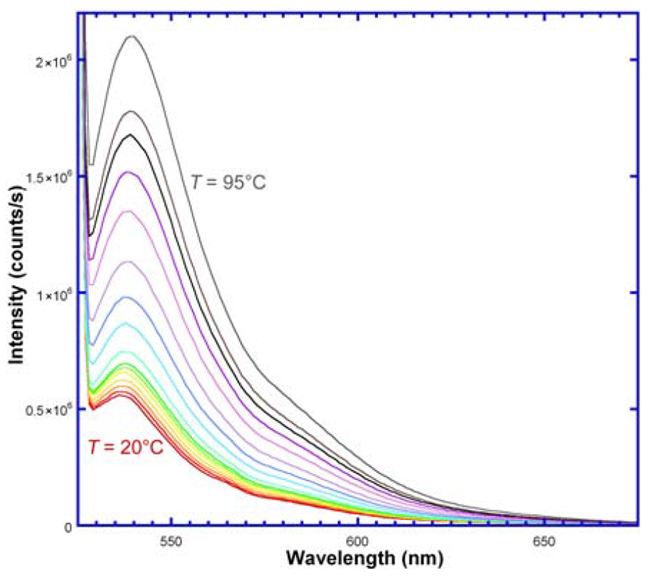 Emission spectra of ssDNA with TET (fluorophore) and QSY (acceptor); λexc = 521 nm. With rising temperature, fluorescence intensity rises, meaning greater distance between donor and quencher