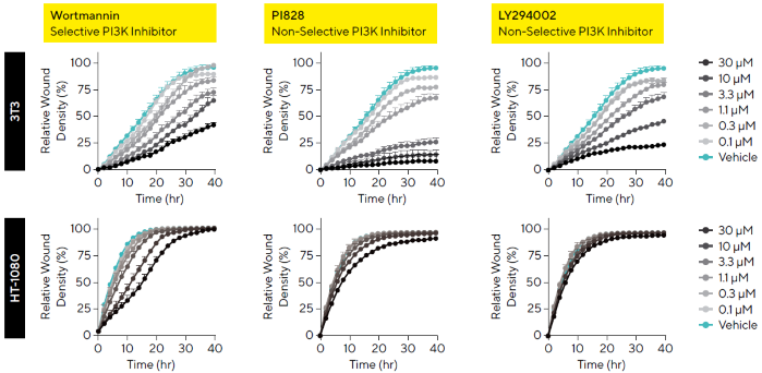 Cell-Type and Molecule-Dependent Temporal Cell Migration Profiles. 3T3 and HT-1080 cells (30,000 cells/well) were wounded and treated with a concentration range (0.1--30 μM) of PI3K inhibitors: Wortmannin, PI828, and LY294002. Data show varying kinetic migratory profiles in the presence of different compounds. PI3K inhibitors showed a significant difference in efficacy across cell types with HT-1080 cells appearing more resistant to PI3K inhibition compared to 3T3 cells. Data shown as mean ± SEM, n = 3 replicates