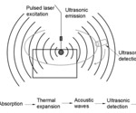 Applications of photoacoustic microscopy (PAM) in medical imaging