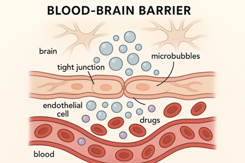The role of GaGe digitizers in neurological innovation and brain research