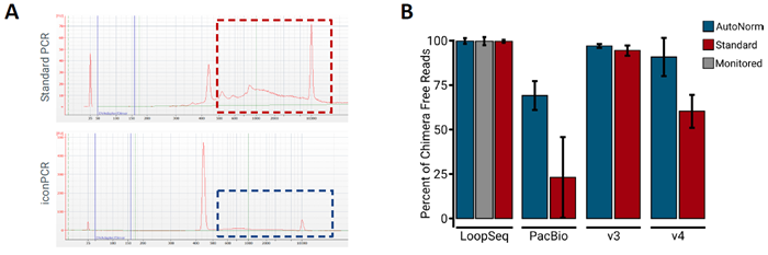 iconPCR Produces Significantly Less Artifacts than Standard PCR.</strong> <strong>A)</strong> The top panel depicts the the V4 Standard PCR pool, showing various peaks greater than 500 bp, with only 19 % of the total pool in the expected region. By comparison,the V4 iconPCR pool (lower panel), generated using AutoNormalization, only displays one peak around the expected size (~440 bp). <strong>B)</strong> Percent of chimera free reads from each of the different sequencing methods. Use of AutoNormalization (blue bars) shows an increase in the amount of chimera free reads as compared to Standard PCR (red bars).