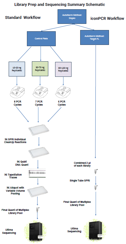Higher quality and larger scale high throughput library prep