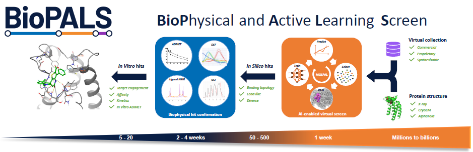 Using BioPALS to study the BRPF1b bromodomain