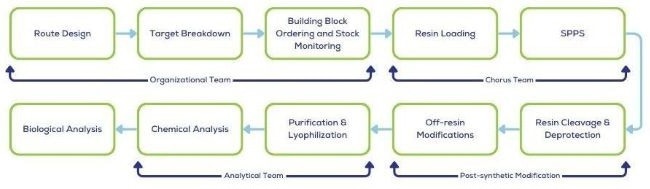 Advancing cyclic peptide discovery