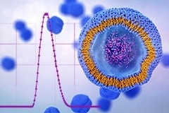 Overcoming the Limits of Traditional DLS in Lipid-Based Nanoparticle