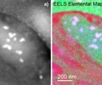High-resolution EELS mapping of mitochondria in human retinal ganglion cells