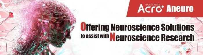 APOEε4 and Alzheimer