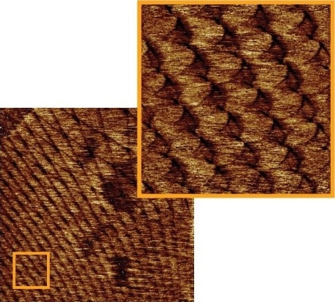 High-resolution topography images of a van der Waals heterostructure showing a moiré superlattice. Images collected in torsional resonance dynamic force microscopy (TR-DFM) with a FESPA probe. Scan sizes 1 × 1 µm and 200 × 200 nm (orange box)