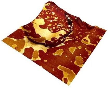 PeakForce quantitative nanomechanics (PeakForce QNM®) can be used to map distribution of components in polymer blends. PS-PMMA-PVC sample courtesy of U. Mons. Scan size 5 × 5 µm, RTESPA-150 probe