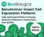 Baculovirus–insect cell expression system for protein delivery