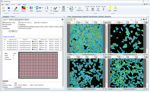 Optimizing cell imaging processes with CellPathfinder