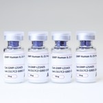 ACROBiosystem's GMP Human IL-21 Protein