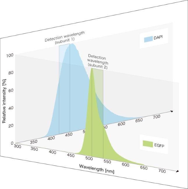 Confocal MEMS unit for fluorescence imaging