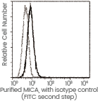 CAR-NK Cell Therapy: Therapeutic and recombinant targets