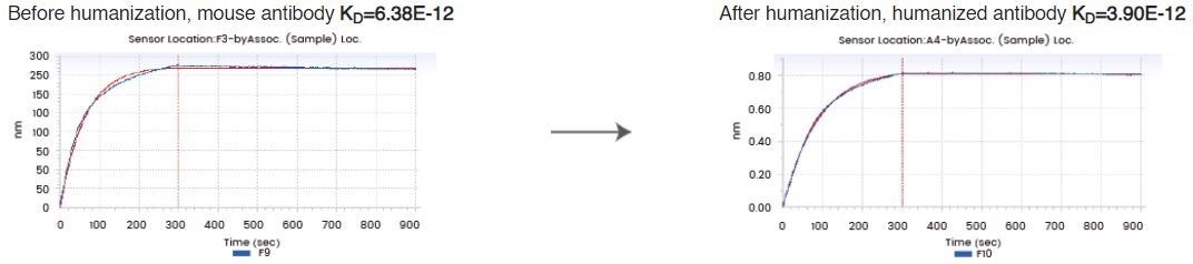 Humanization services for mouse monoclonal antibodies