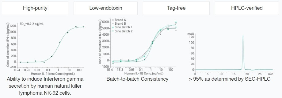 Pro and anti-inflammatory cytokines in chronic inflammation
