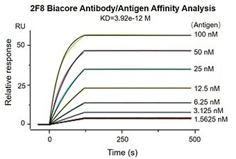 A novel rabbit MonoRab technology