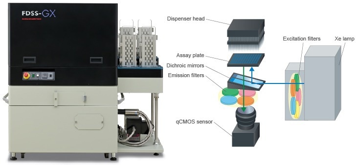 FDSS-GX Kinetic Plate Imager for HTS