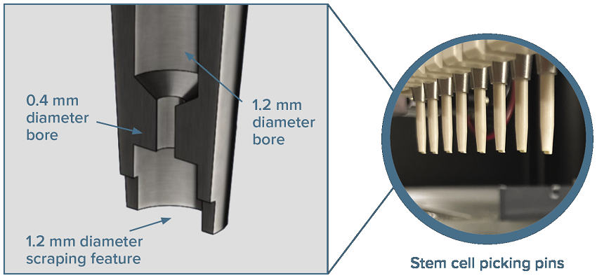 Complete automated screening using the ClonePix 2 Mammalian Colony Picker