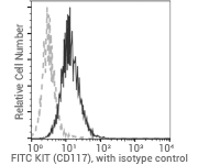 SCF/c-Kit signaling axis: Regulating cancer stemness