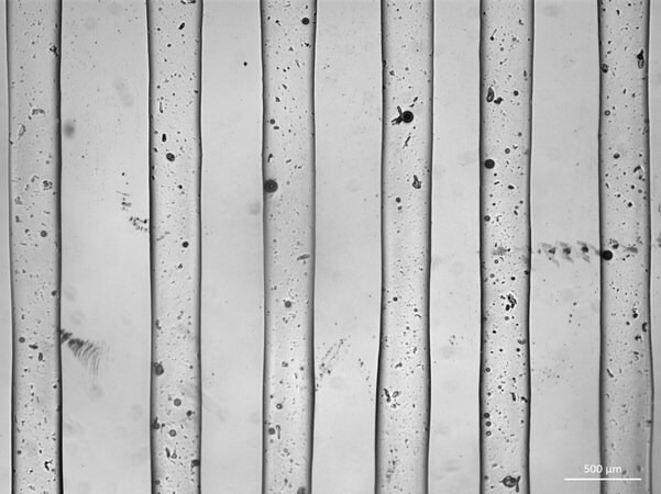 Advanced tissue engineering with TissueFab® bioink Alg(Gel)ma