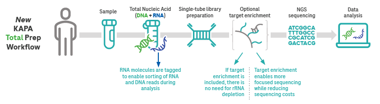 Generate DNA and RNA libraries with the KAPA Total Prep FFPE