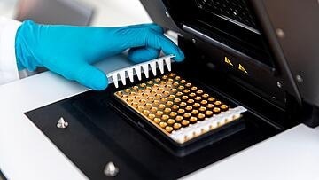 Real-time PCR thermocycling with qTOWERiris