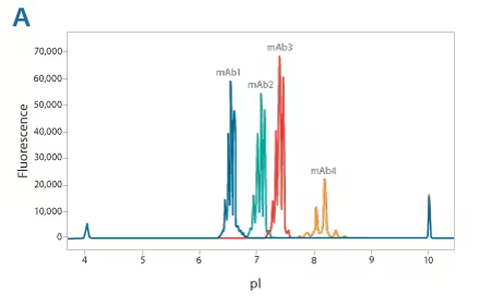 Maurice-Imaged capillary electrophoresis platform