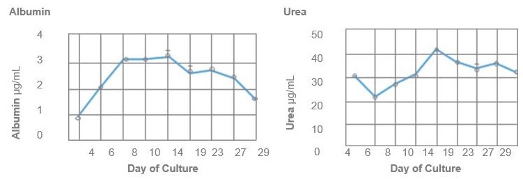 Highly characterized donor Human HEPATOPAC® cultures