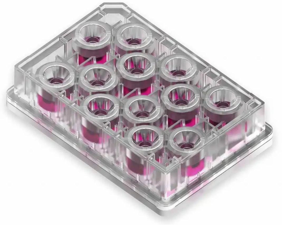 PhysioMimix® Barrier Plate for physiologically relevant barrier models