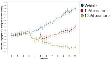 Response of day 25 axoCells Sensory Neurons to paclitaxel, a chemotherapy reagent, applied at 2.6 days (arrowhead) with wash off at 4.6 days (arrow).
