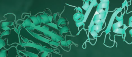SuperNuclease: An efficient solution for regulatory-compliant nucleic acid removal in biologics