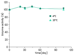 Activity of Salt Active SuperNuclease at 4 °C and 25 °C.