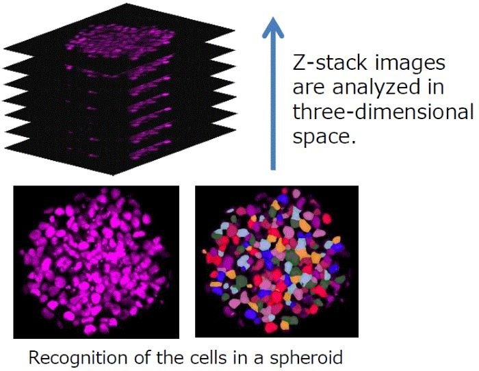 CellVoyager CQ3000: Fast, high-resolution 3D imaging for cell culture