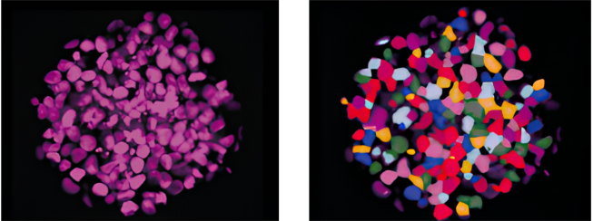 Left: Original image. Right: Recognition image