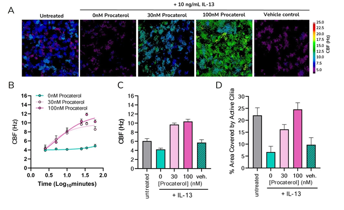 Dataset showing effect of Procaterol on IL-13 treated SAECs A) Heatmaps showing increase in percentage area covered by active cilia and ciliary beat frequency with Procaterol dose B) Increasing CBF with time C) and D) Increase in percentage area covered by active cilia and beat frequency with change in Procaterol concentration