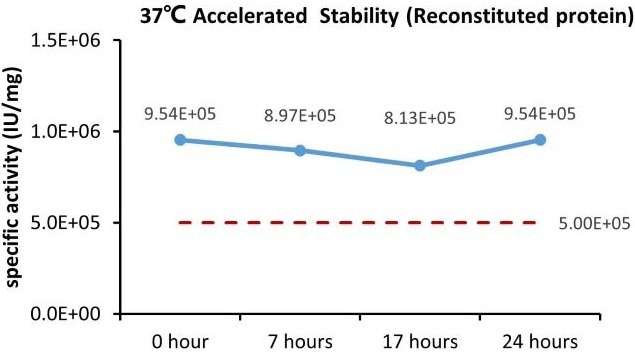 GMP compliant SCF protein