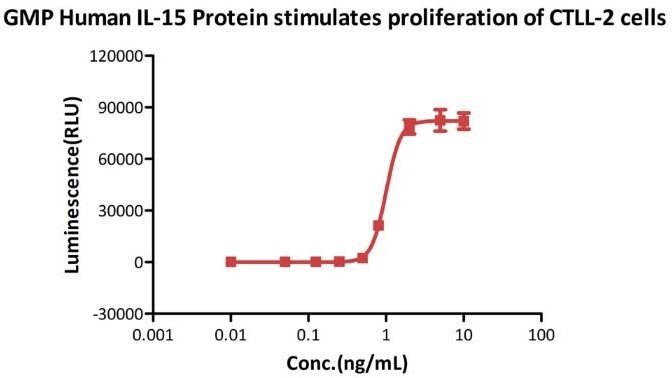 Human IL-15 protein with GMP certification
