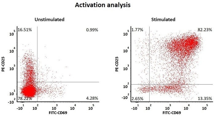 GMP ActiveMax® human T cell magnetic beads