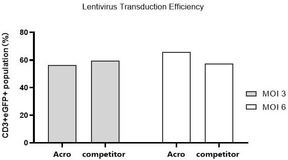 CelThera™ GMP T Cell Expansion Medium (Phenol Red-free): A serum-free culture medium