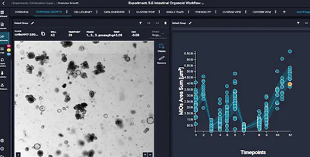 Automated cell culture with CellXpress.ai™