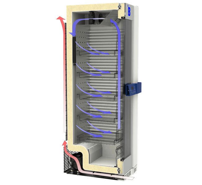 Energy-efficient B381 blood bank refrigerator with 329 L capacity