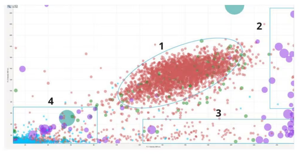 Identify cell doublets and triplets (1), cellular aggregates (2), protein aggregates (3), and plastic contaminants (4) in a cell therapeutic sample