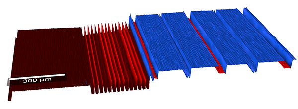 What makes the WITec360 Raman microscope the benchmark for correlative microscopy?